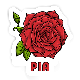 Autocollant Pia Rose Image