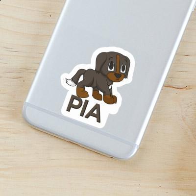 Pia Sticker Mountain Dog Gift package Image