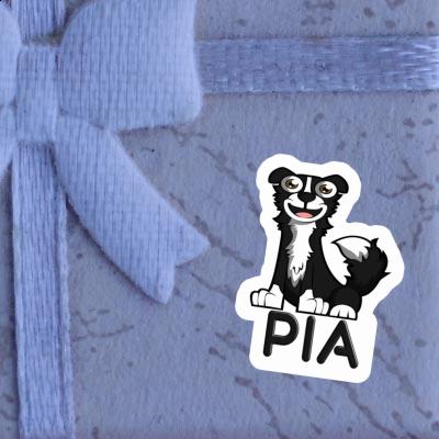 Aufkleber Collie Pia Gift package Image