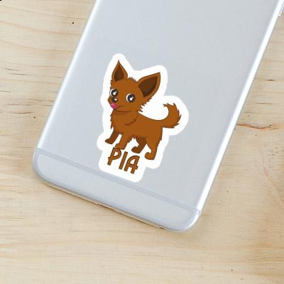 Sticker Pia Chihuahua Gift package Image