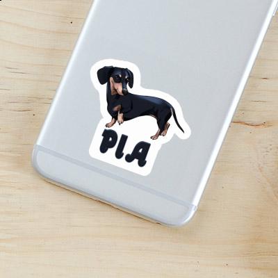 Pia Sticker Dachshund Gift package Image