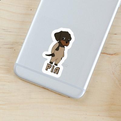 Sticker German Wirehaired Pia Gift package Image