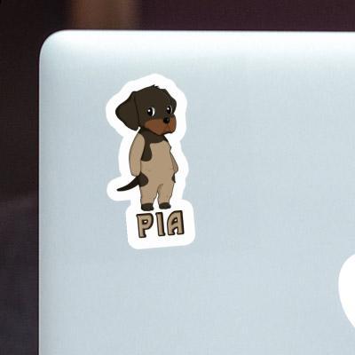 Sticker German Wirehaired Pia Gift package Image