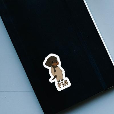 Sticker German Wirehaired Pia Notebook Image