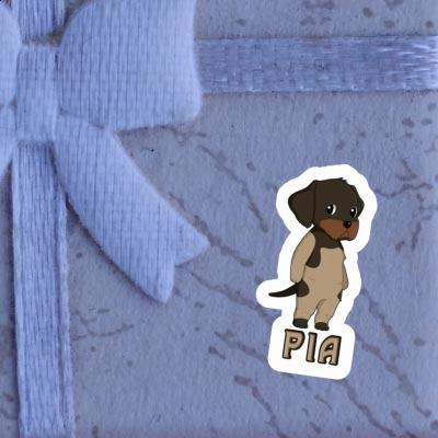 Sticker German Wirehaired Pia Gift package Image