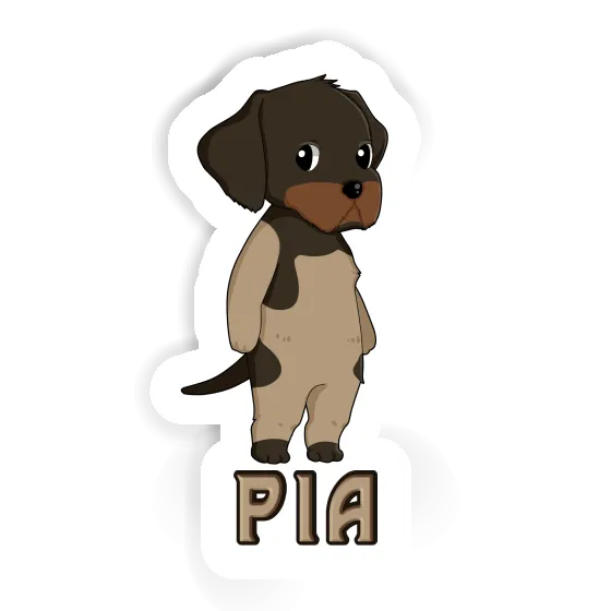 Sticker German Wirehaired Pia Gift package Image