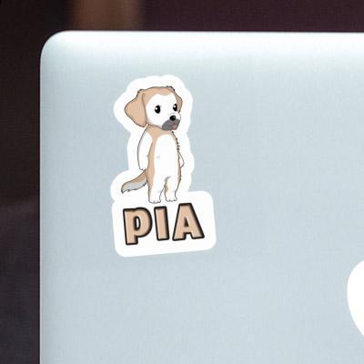 Aufkleber Golden Retriever Pia Laptop Image