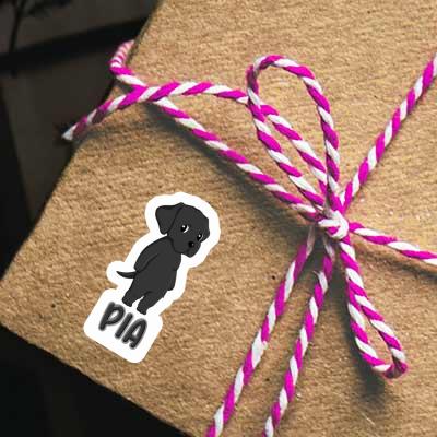 Aufkleber Labrador Retriever Pia Gift package Image