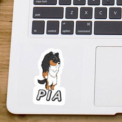 Pia Sticker Sheltie Gift package Image