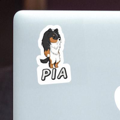 Pia Sticker Sheltie Gift package Image