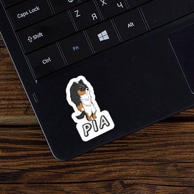 Pia Sticker Sheltie Laptop Image