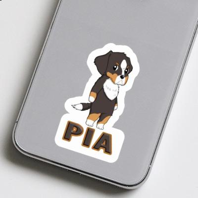 Sticker Bernese Mountain Dog Pia Laptop Image