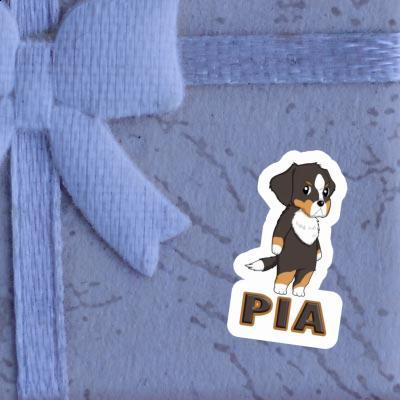 Sticker Bernese Mountain Dog Pia Gift package Image