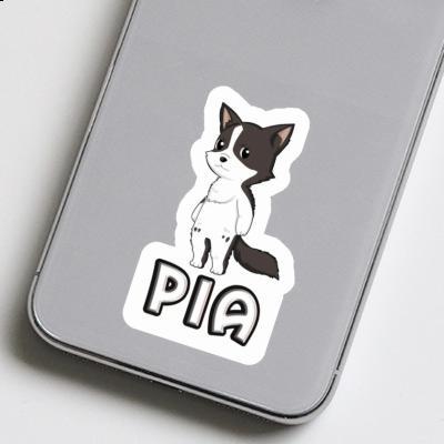 Pia Sticker Border Collie Gift package Image