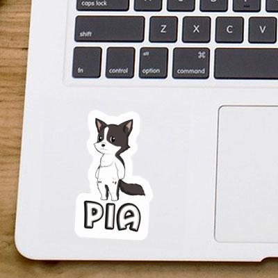 Aufkleber Pia Border Collie Notebook Image