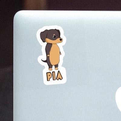 Pia Sticker Dachshund Notebook Image