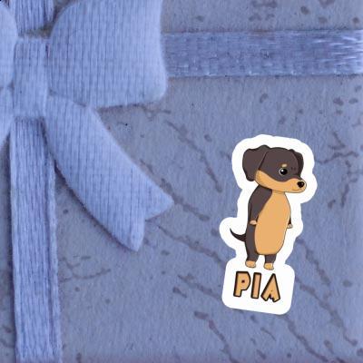 Pia Sticker Dachshund Gift package Image