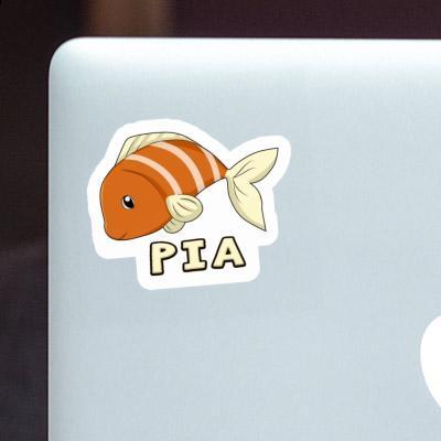 Pia Sticker Fish Gift package Image