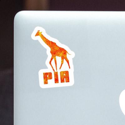 Sticker Giraffe Pia Gift package Image