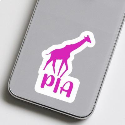 Pia Sticker Giraffe Gift package Image