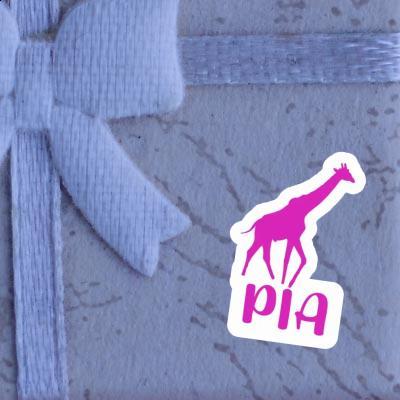 Pia Sticker Giraffe Gift package Image