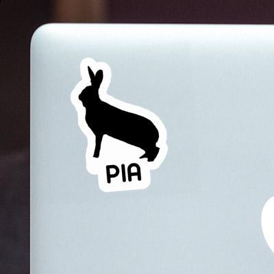 Sticker Rabbit Pia Gift package Image