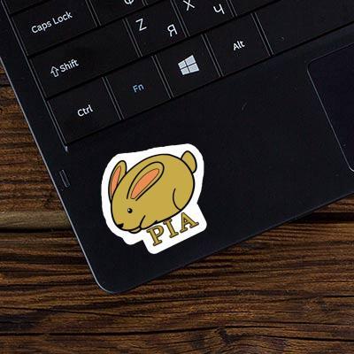 Sticker Hare Pia Gift package Image