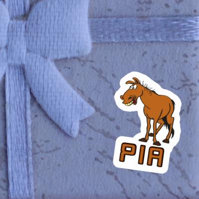 Sticker Horse Pia Gift package Image