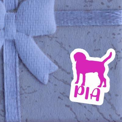 Autocollant Pia Chien Gift package Image