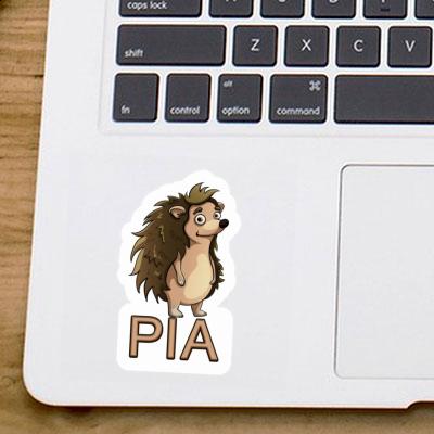 Sticker Igel Pia Laptop Image