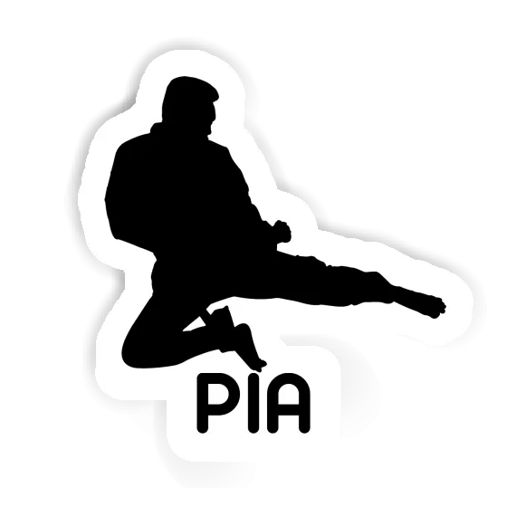 Karateka Sticker Pia Image