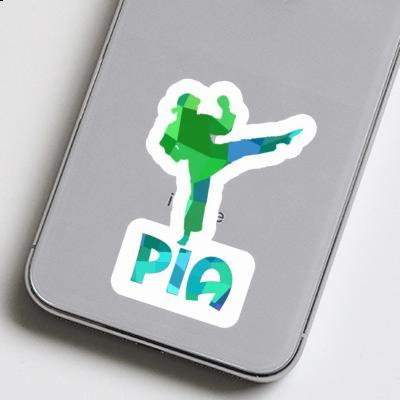 Karateka Sticker Pia Image