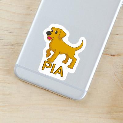 Sticker Pia Labrador Image