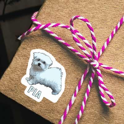 Sticker Maltese Dog Pia Notebook Image