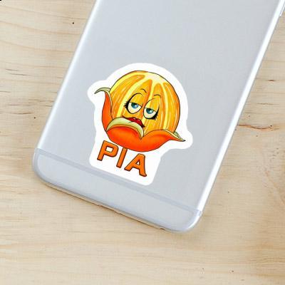 Sticker Orange Pia Gift package Image