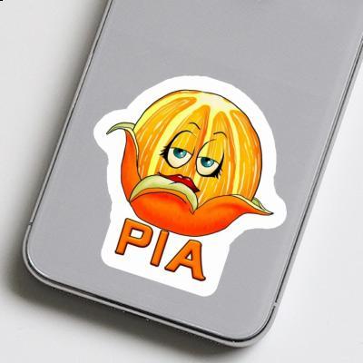 Orange Sticker Pia Notebook Image