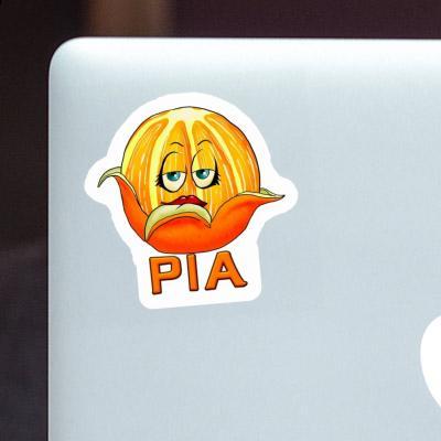 Sticker Orange Pia Gift package Image