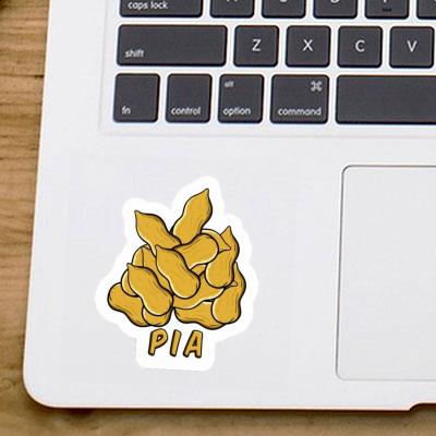 Nut Sticker Pia Notebook Image