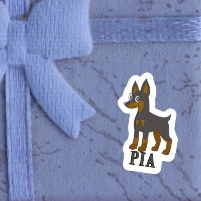 Sticker Pinscher Pia Gift package Image