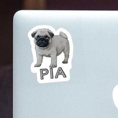 Pug Sticker Pia Gift package Image