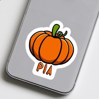 Courge Autocollant Pia Gift package Image