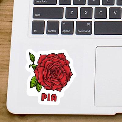 Sticker Pia Rose Gift package Image