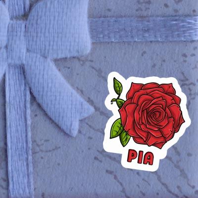 Sticker Pia Rose Gift package Image