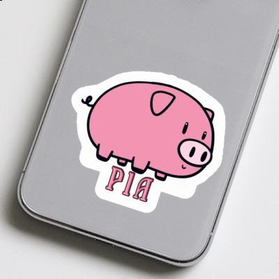 Sticker Pig Pia Gift package Image