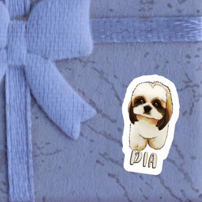 Autocollant Pia Shih Tzu Gift package Image