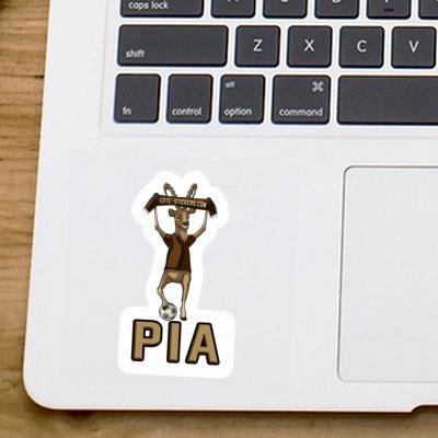 Sticker Steinbock Pia Gift package Image