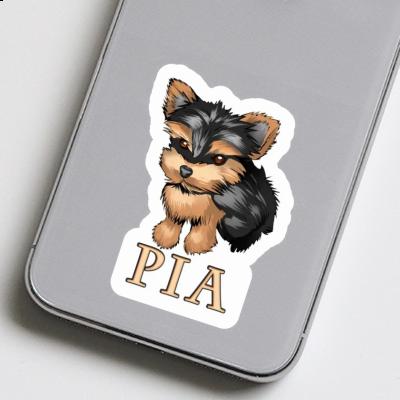 Yorkshire Terrier Sticker Pia Laptop Image