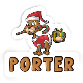 Autocollant Porter Chat de Noël Image