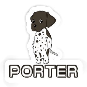 Sticker German Shorthaired Pointer Porter Image
