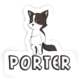 Porter Sticker Border Collie Image